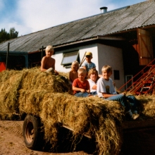 Höbärgning hos Claessons sommaren 1984, eller 1985.