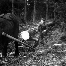 Helge kör timmer