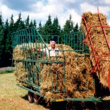 Helge bärgar hö