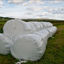 Ensilage i Vangröfta