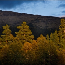 Hummelfjell